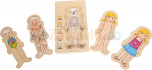 Układanka dla dzieci, Lekcja anatomii z Asią, 3+, small foot design