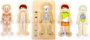 Układanka dla dzieci, Lekcja anatomii z Tomkiem, 3+, small foot design