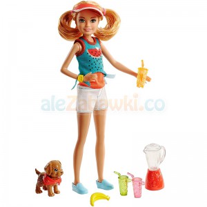 Barbie - Stacie z pieskiem FHP63, 3+, Mattel