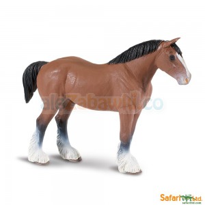 Koń - ogier Rasy Clydesdale