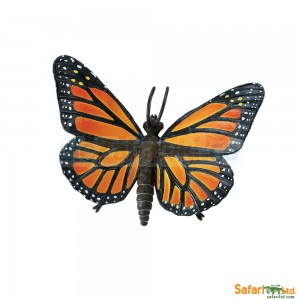 Motyl Monarch - Danaid wędrowny