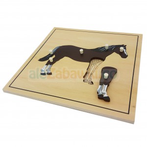 Puzzle drewniane - Szkielet konia - pomoce Montessori