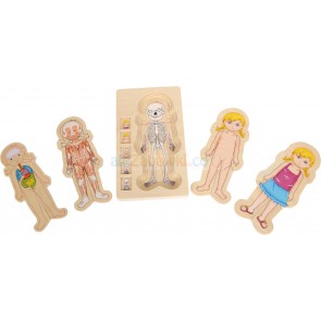 Układanka dla dzieci, Lekcja anatomii z Asią, 3+, small foot design