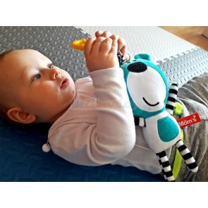 Pozytywka Misio Buu Turkusowy, 0+, Mom's Care