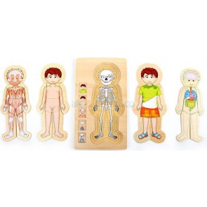 Układanka dla dzieci, Lekcja anatomii z Tomkiem, 3+, small foot design