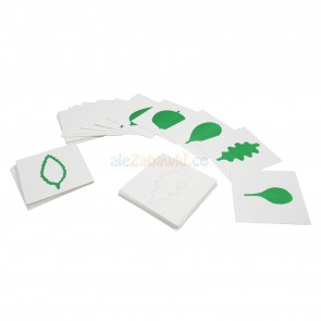 Karty do komody botanicznej - pomoce Montessori