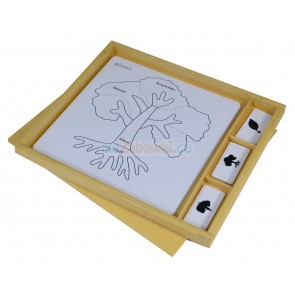 Zestaw kontrolny do puzzli botanicznych