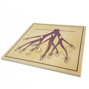 Puzzle botaniczne - Korona drzewa, 4+, GoMontessori