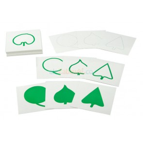 Karty do komody botanicznej - 18 liści, 5+, GoMontessori