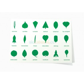 Karty kontrolne do komody botanicznej