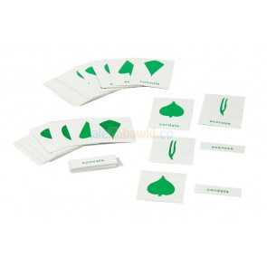 Karty opisowe do komody botanicznej