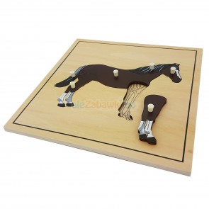 Puzzle drewniane - Szkielet konia - pomoce Montessori