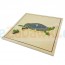 Puzzle drewniane - Szkielet żółwia - pomoce Montessori - Sklep www.aleZabawki.co